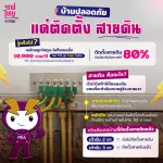 เซฟไทย