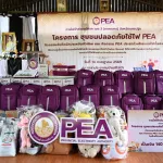 PEA ยกระดับความปลอดภัยการใช้ไฟฟ้า จัดโครงการ “ชุมชนปลอดภัยใช้ไฟ PEA” ประจำปี 2569