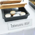 PEA ศึกษาดูงานโครงการต้นแบบแมลงทหารดำ เรียนรู้การจัดการขยะอินทรีย์ตามแนวเศรษฐกิจพอเพียง
