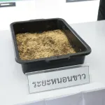 PEA ศึกษาดูงานโครงการต้นแบบแมลงทหารดำ เรียนรู้การจัดการขยะอินทรีย์ตามแนวเศรษฐกิจพอเพียง