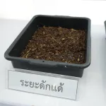 PEA ศึกษาดูงานโครงการต้นแบบแมลงทหารดำ เรียนรู้การจัดการขยะอินทรีย์ตามแนวเศรษฐกิจพอเพียง