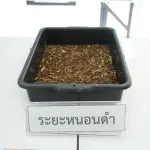 PEA ศึกษาดูงานโครงการต้นแบบแมลงทหารดำ เรียนรู้การจัดการขยะอินทรีย์ตามแนวเศรษฐกิจพอเพียง