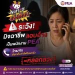 PEA เตือนภัยมิจฉาชีพแอบอ้างเป็นพนักงาน โทรเรียกเก็บค่าไฟฟ้าย้อนหลัง ย้ำอย่าหลงเชื่อ ตรวจสอบก่อนโอนทุกครั้ง