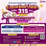 💜PEA เปิดลงทะเบียนช่วยเหลือค่าไฟฟ้า ไม่เกิน 315 บาท⚡️