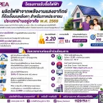 Ppim