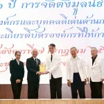 11ปี