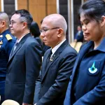 11ปี