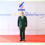11ปี