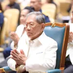 11ปี