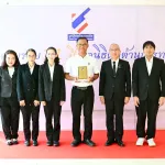 11ปี