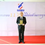 11ปี