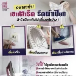 เตารีด