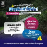 เสาไฟล้ม