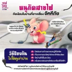 หนูกัดสายไฟ