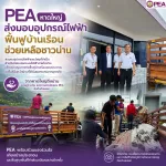 หญน