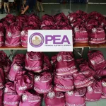 PEA เร่งช่วยเหลือผู้ประสบอุทกภัย จ.น่าน ส่งมอบถุงยังชีพและน้ำดื่ม