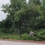ข