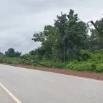 ข
