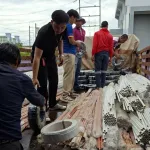 หญน