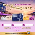 pvl