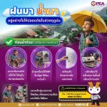 PEA ห่วงใยประชาชน แนะเตรียมรับมือฝนตกหนัก ลมกระโชกแรง และน้ำท่วมฉับพลัน