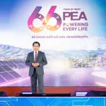 66
