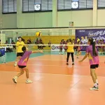 v