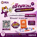 PEA WEbsite