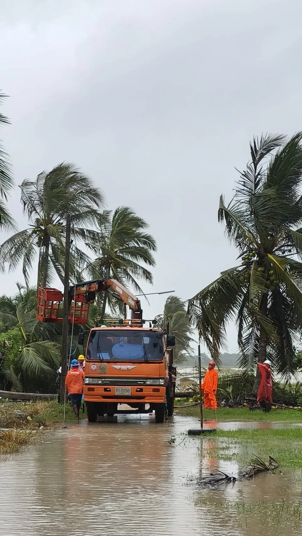 PEA สาขาระโนด เร่งฟื้นฟูระบบจำหน่ายจากเหตุพายุหมุน