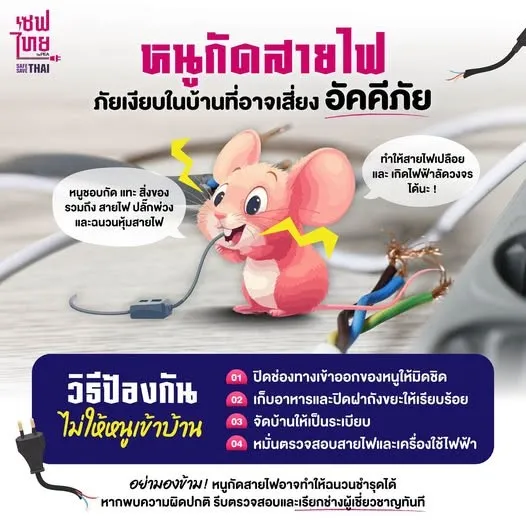 หนูกัดสายไฟ